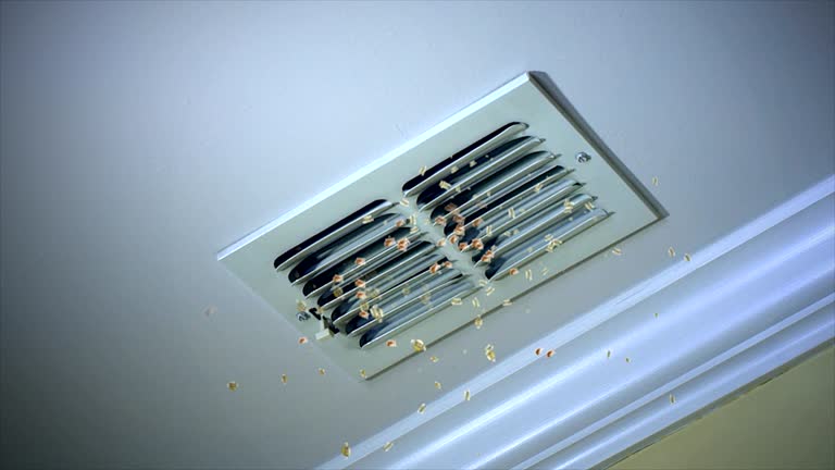 Best Ductwork Cleaning Services  in Greenville, DE